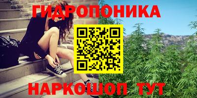 2c-b Рязань