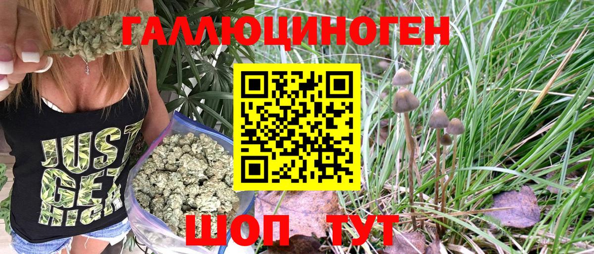 Сорочинск  Галлюциногенные грибы Magic Shrooms  Вход с VPN 